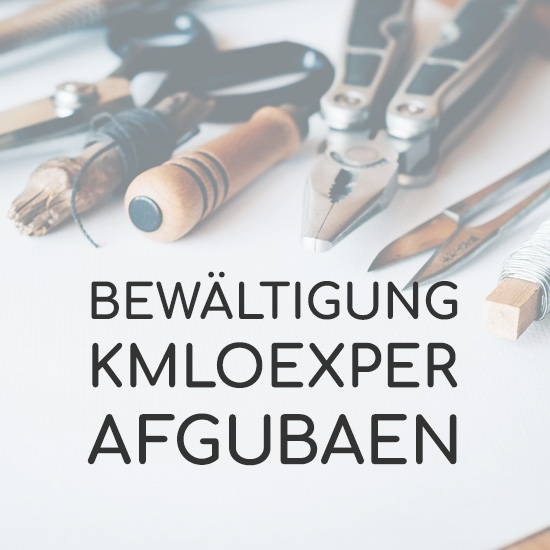 Bild: Bewältigung komplexer Aufgaben - Kognitives Training mit bewango